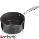 QUÁNH BRABANTIA 16CM