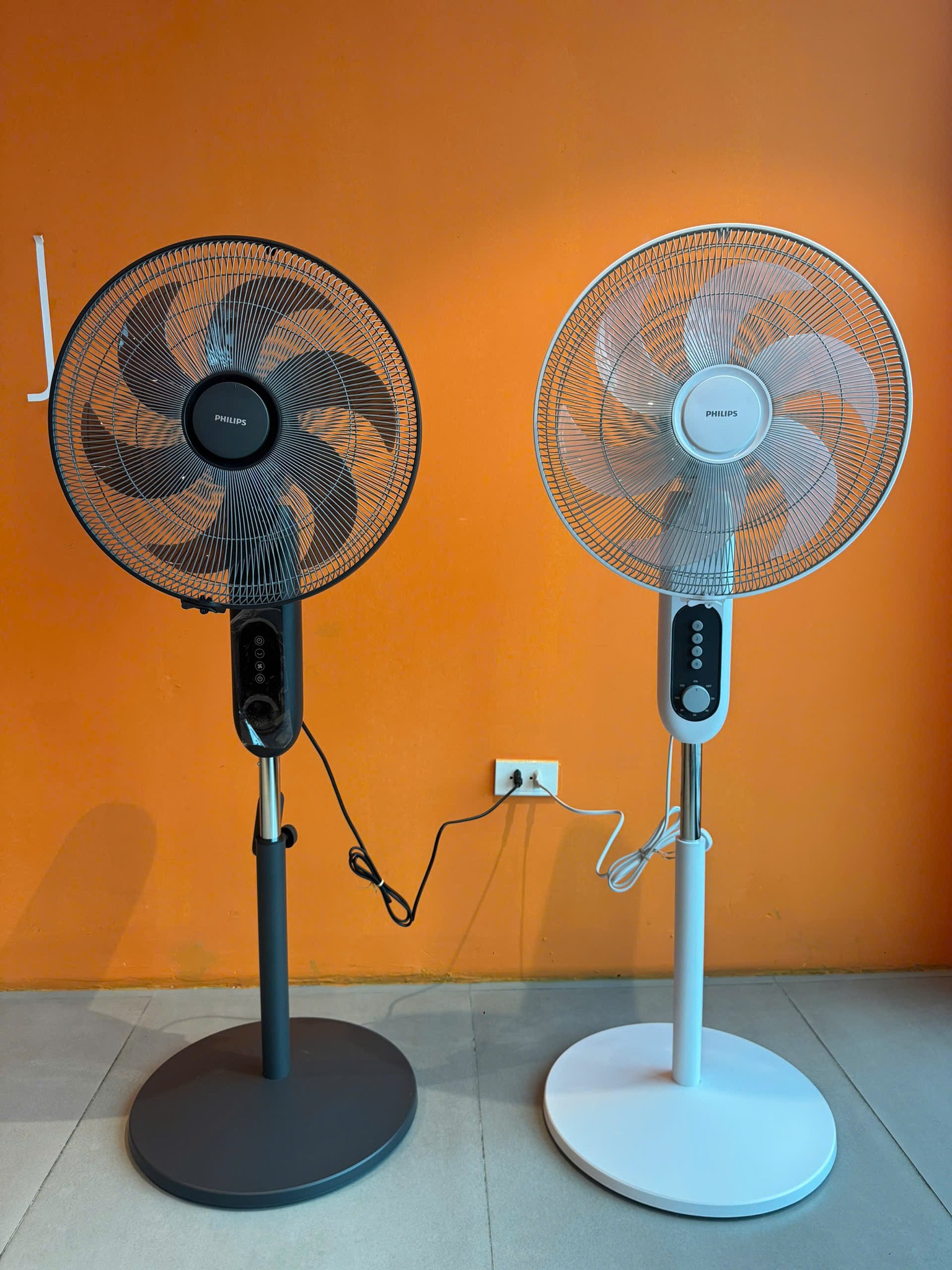 658150650_1236690251967084_7788162185406519047_n