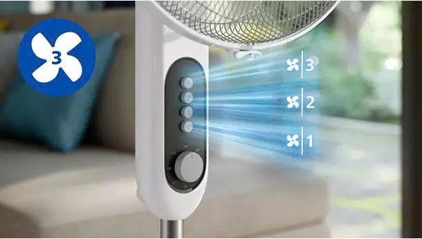 z7675709978166_e854860078e58ea9b384efdb8dd11c40