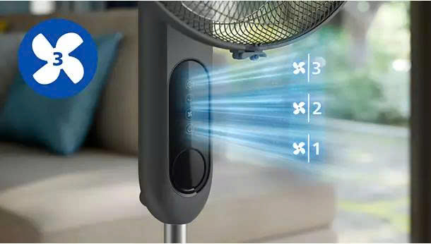 z7675810694530_2117325678ba2b445e2b12528abaa297