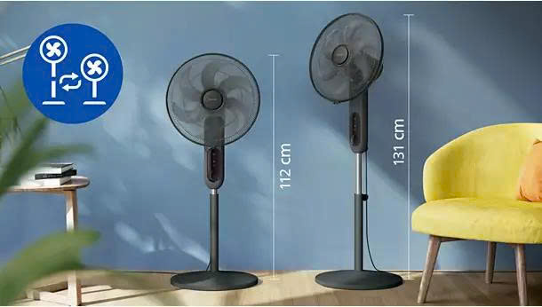 z7675812725461_6074555fbe3395ba08f926a909194096